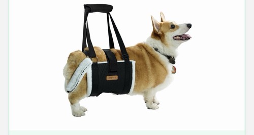 Imbracatura sollevamento cani - sollevamento,