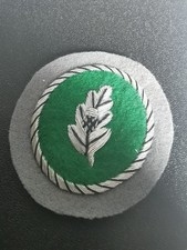 Distintivo combattente singolo esercito tedesco livello 1 - esercito paracadutisti - ottimo