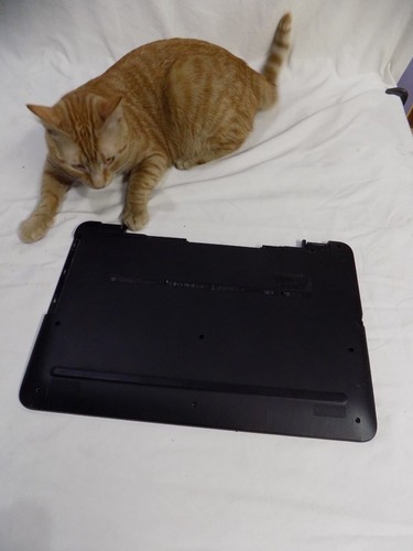 Originale notebook hp - originale!!,