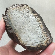 Meteorite in ferro Aletai