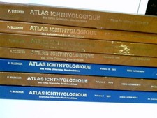 Konvolut: 10 div. Bände Atlas