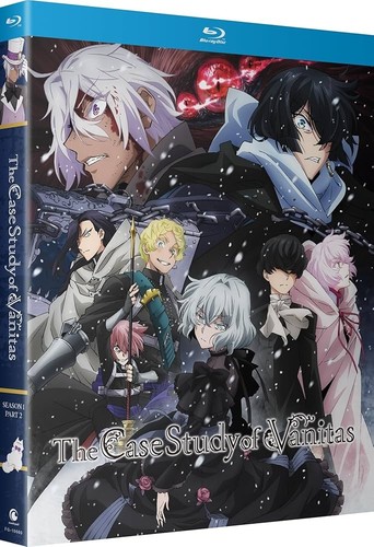 The case study - the, vanitas