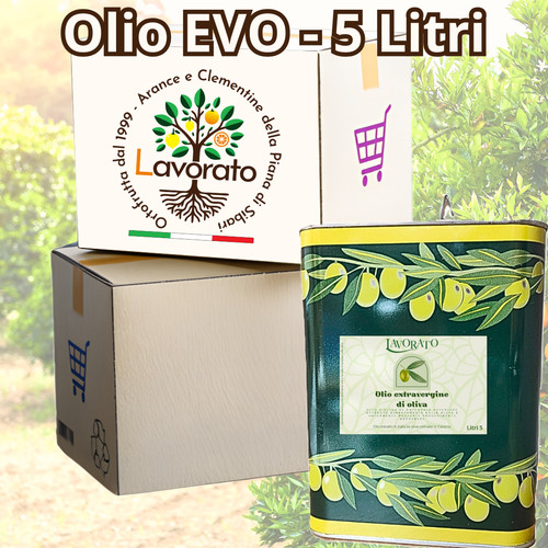 Olio extravergine oliva 5 - di,