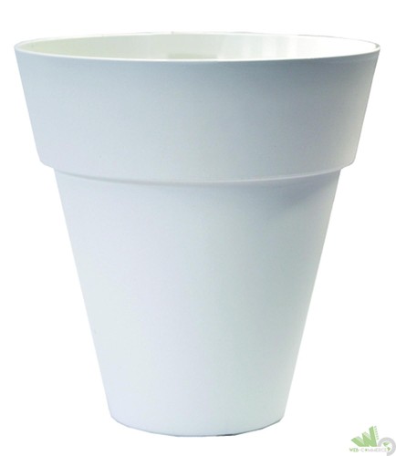 Vaso portavaso interno - portavaso,
