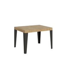 Tavolo allungabile 80x120/204