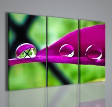 QUADRI MODERNI LIGHTNESS QUADRO MODERNO FIORI FLOWER ARREDAMENTO ARREDO CASA 