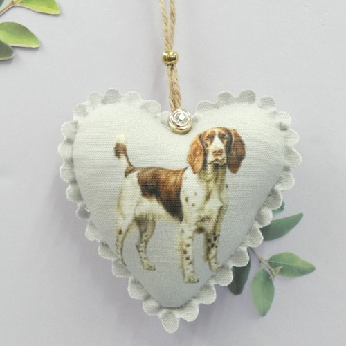 Springer spaniel inglese - springer,