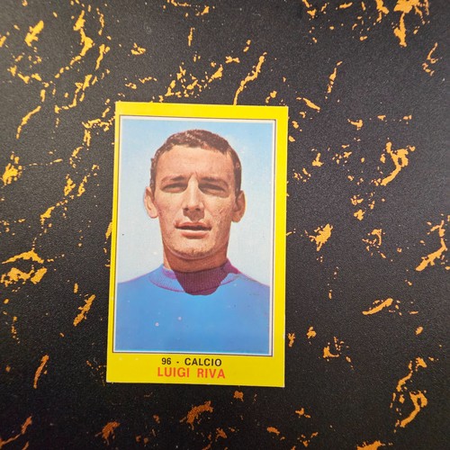 Panini campioni dello - campioni, sport