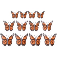  12 Pcs Farfalle Decorative Da