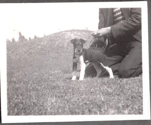 Fotografia vintage anni - fotografia, 30
