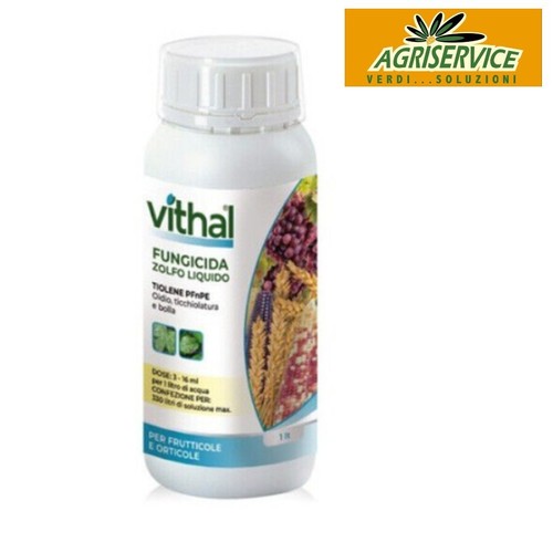 Fungicida zolfo liquido vithal - fungicida,