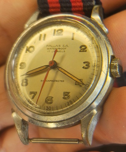 Reloj militar pallas - militar,