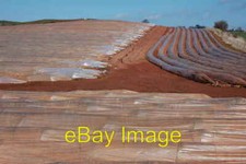 Photo 6x4 Poly-tunnels near