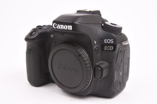 Canon eos 80d megapixel - 24,2,