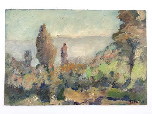 Dyalma stultus paesaggio olio - paesaggio,