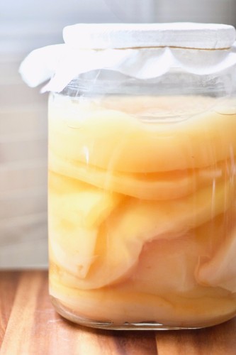 Starter scoby kombucha - starter,
