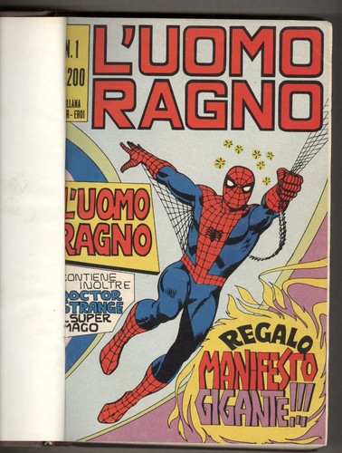 Uomo ragno bound - l'uomo,
