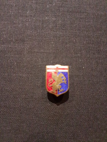 Spilla asola distintivo - spilla,
