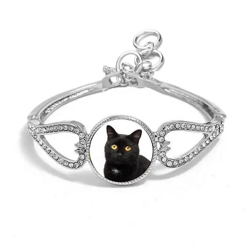 Black cat pet - pet, silver