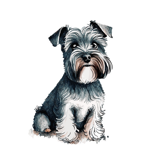 Adesivo auto schnauzer - adesivo,