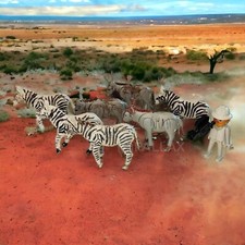 PLAYMOBIL 3677 SAFARI CON