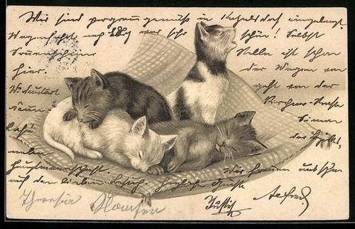 Litografia quattro gatti - quattro,