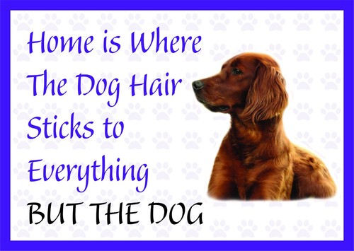 Home where the dog - the,