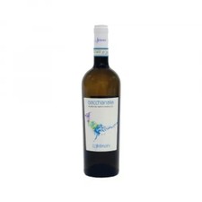 VINO BIANCO E ROSSO FALERNO