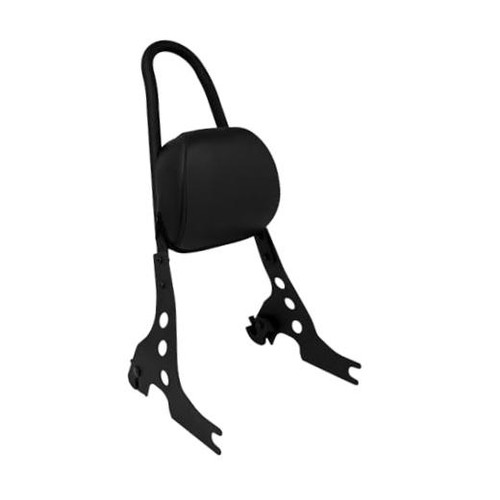 Detachable sissy bar - sissy,