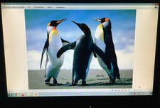 Monitor  PC 19 pollici