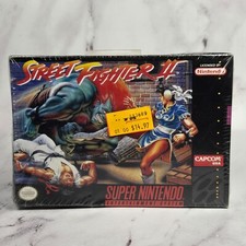 Street Fighter II: The World