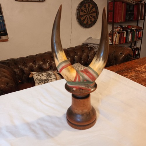 Trofeo corno animale vintage - animale,
