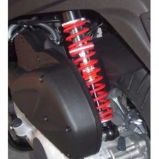 Coppia ammortizzatori