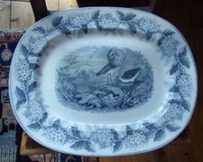 Samuel Alcock, SA & Co. British Birds, 1 piatto da portata XXL, 1828-1853, porcellana?