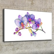 Stampa su tela 100x50 quadro