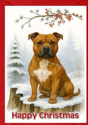 Biglietto natale - biglietto,