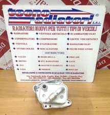 Scambiatore di Calore Acqua Olio BMW X3 E83 2003-2011 2.0i - xDrive 2.0i Benzina