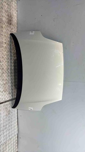 Cofano fiat punto - fiat,