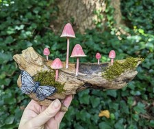 Arte da parete con funghi in