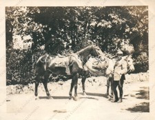 Ww1 soldato regio esercito - soldato,