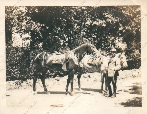 Ww1 soldato regio esercito - ww1,