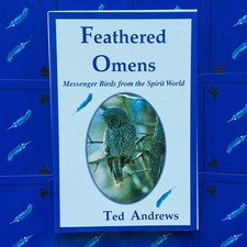 Carte Da Gioco Dragonhawk