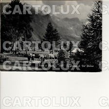 B8108 BRESCIA 1959 PONTE DI LEGNO FONTANA VAL SOZZINE MUCCHE MANCA FRANCOBOLLO