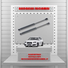 2 MOLLE A GAS BAGAGLIAIO AUDI