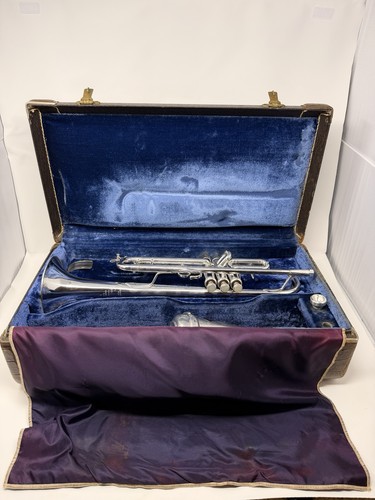 Tromba professionale primi - bb,