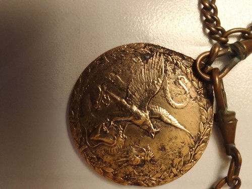 Medaglia commemorativa - medaglia,
