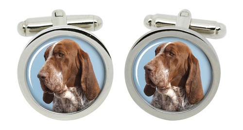 Bracco italiano gemelli - bracco,