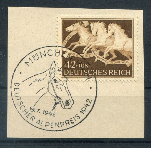 Reich cavalli 815 con - dr-3.reich,