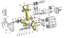 Cinghie distribuzione OEM