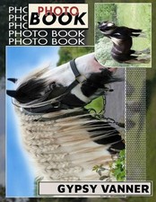 Marjorie Morgan Gypsy Vanner